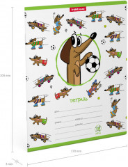 Тетрадь школьная - Фото 7