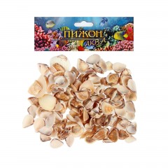 Набор ракушек, 100 гр - Фото 1