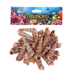 Набор ракушек 100 гр - Фото 1