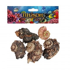 Набор ракушек, внутри перламутр, 100 г - Фото 1