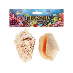 Набор ракушек (2 шт) - Фото 1