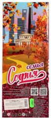 Кукла «София беременная» - Фото 4