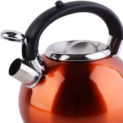 Чайник со свистком - Фото 1