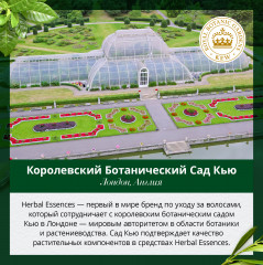 Шампунь для придания объема - Фото 8