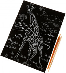 Гравюра «Жираф» - Фото 1