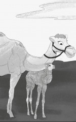 Ұлы дала ертегілері - Фото 5