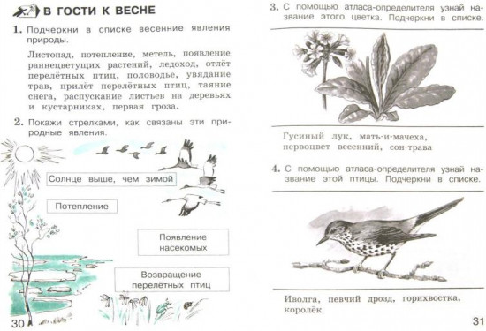Окружающий мир. 2 класс. Тетрадь. Часть 2