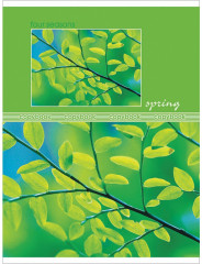 Тетрадь - Фото 3