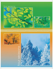 Тетрадь - Фото 4