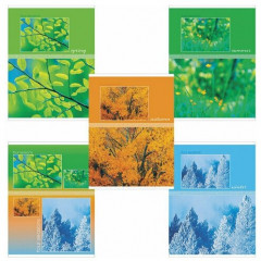 Тетрадь - Фото 5