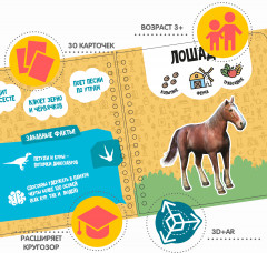 Изучаем диких и домашних животных - Фото 2