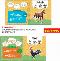 Изучаем диких и домашних животных - Фото 4