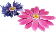 Набор для творчества «Сад цветов 3D» - Фото 6