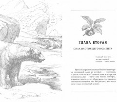 Единство со всей жизнью. Вдохновляющие фрагменты из «Новой жизни» - Фото 1