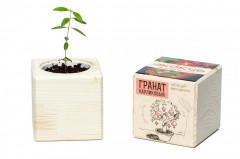 Набор для выращивания «Гранат» - Фото 2