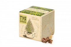 Набор для выращивания «Туя» - Фото 1