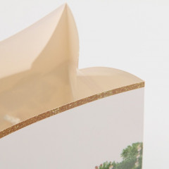 Пакет-коробка «Подарок для тебя» - Фото 2