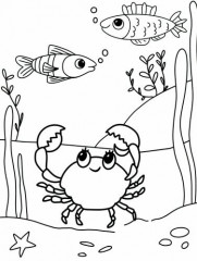 Раскраска. Кто живет в океане? - Фото 1