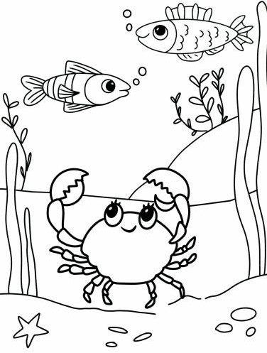 Раскраска. Кто живет в океане?