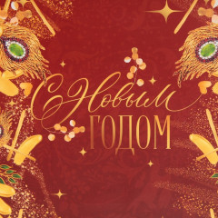 Пакет ламинированный «Жар-птица» - Фото 3