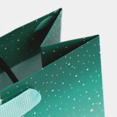 Пакет ламинированный «Северное сияние» - Фото 4