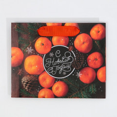 Пакет ламинированный «Вдыхая волшебство» - Фото 5