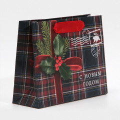 Пакет ламинированный «На Северный полюс» - Фото 1