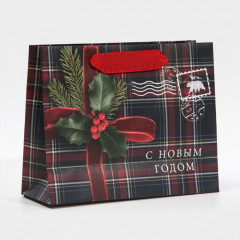 Пакет ламинированный «На Северный полюс» - Фото 2