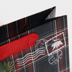 Пакет ламинированный «На Северный полюс» - Фото 4