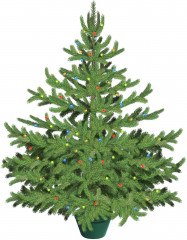 Набор для творчества «Ёлка на ткани» - Фото 1