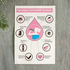 Набор массажеров для лица «Котики рекомендуют» - Фото 4