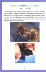 Смотрим, изучаем, удивляемся! Дневник наблюдателя - Фото 1