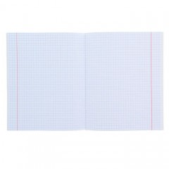 Тетрадь «Цветы на камнях», 48 листов, клетка - Фото 1