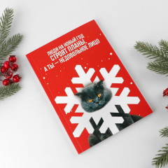 Ежедневник «Недовольное лицо» - Фото 1