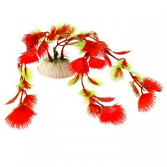 Растение аквариумное, до 20 см - Фото 1