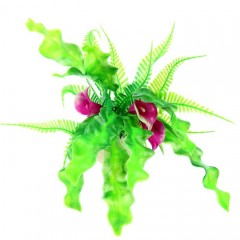 Растение аквариумное, 20х10х20 см - Фото 1