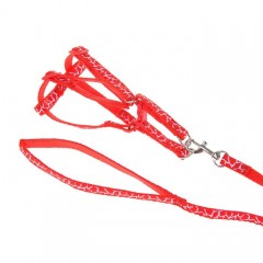 Комплект «Жираф», ширина 1 см, поводок 120 см, шлейка 26-41 см, красный - Фото 1