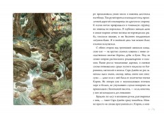 Семь диких сестер - Фото 1