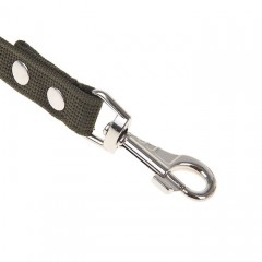 Поводок брезентовый, 2,5 см х 5 м - Фото 1