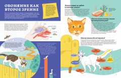 Секреты кошек. Как понять свою кошку и подружиться с ней - Фото 3