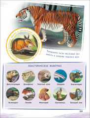 Главная энциклопедия дошкольника - Фото 2