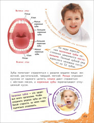 Главная энциклопедия дошкольника - Фото 3