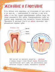 Главная энциклопедия дошкольника - Фото 4