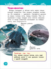 Акулы, киты и дельфины. Энциклопедия для детского сада - Фото 3