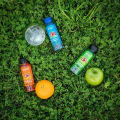 Омыватель стёкол «Антимуха» - Фото 2