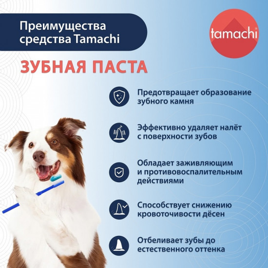 Зубная паста для кошек и собак