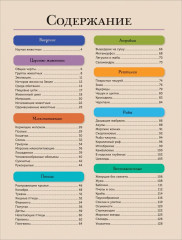 Животные. Современная энциклопедия - Фото 1