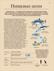 Животные. Современная энциклопедия - Фото 3