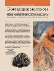 Животные. Современная энциклопедия - Фото 4