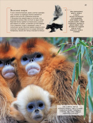 Животные. Современная энциклопедия - Фото 5